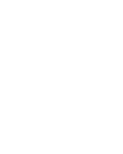 CF CapittoFin